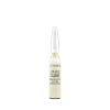 REDENSIFYING FILLING CONCENTRATE